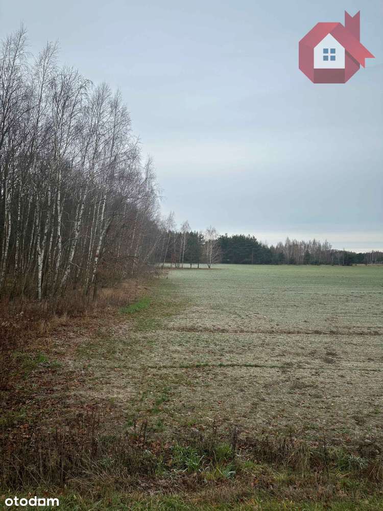 Zadrzewiona działka 2100 m² - 10 minut od Zegrza-4