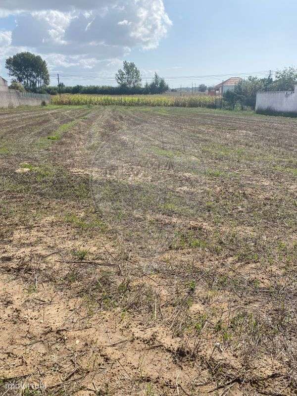 Terreno  para venda - Grande imagem: 3/17