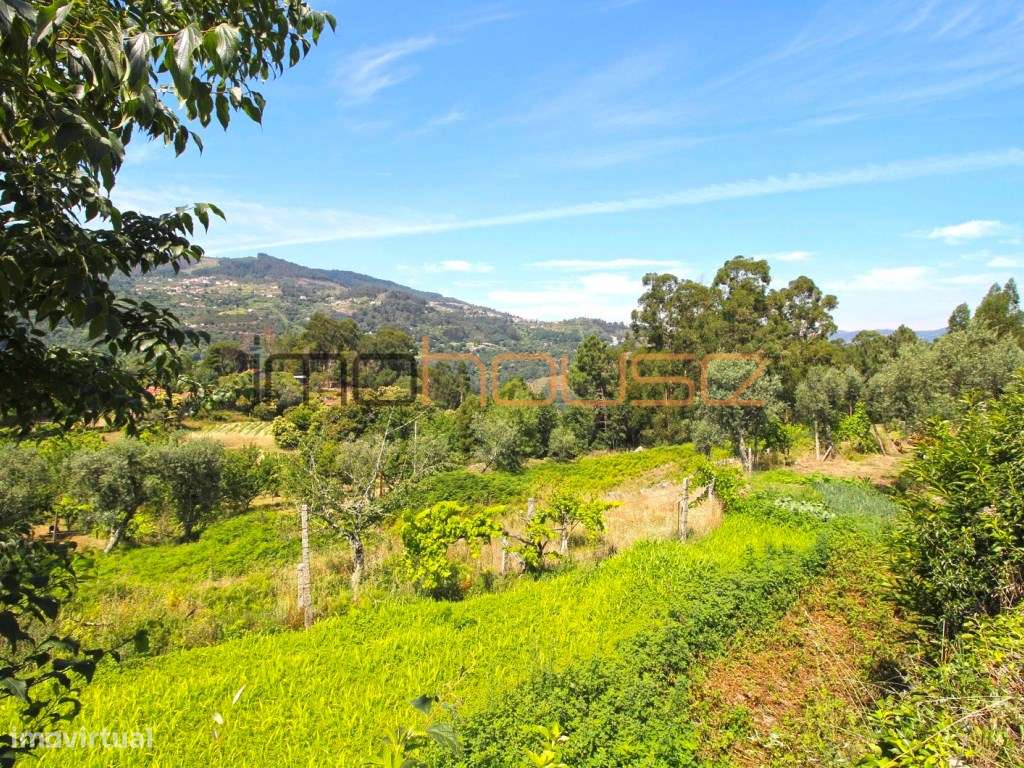 Casa senhorial - Turismo Rural-48