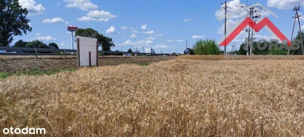 Działka inwestycyjna-2