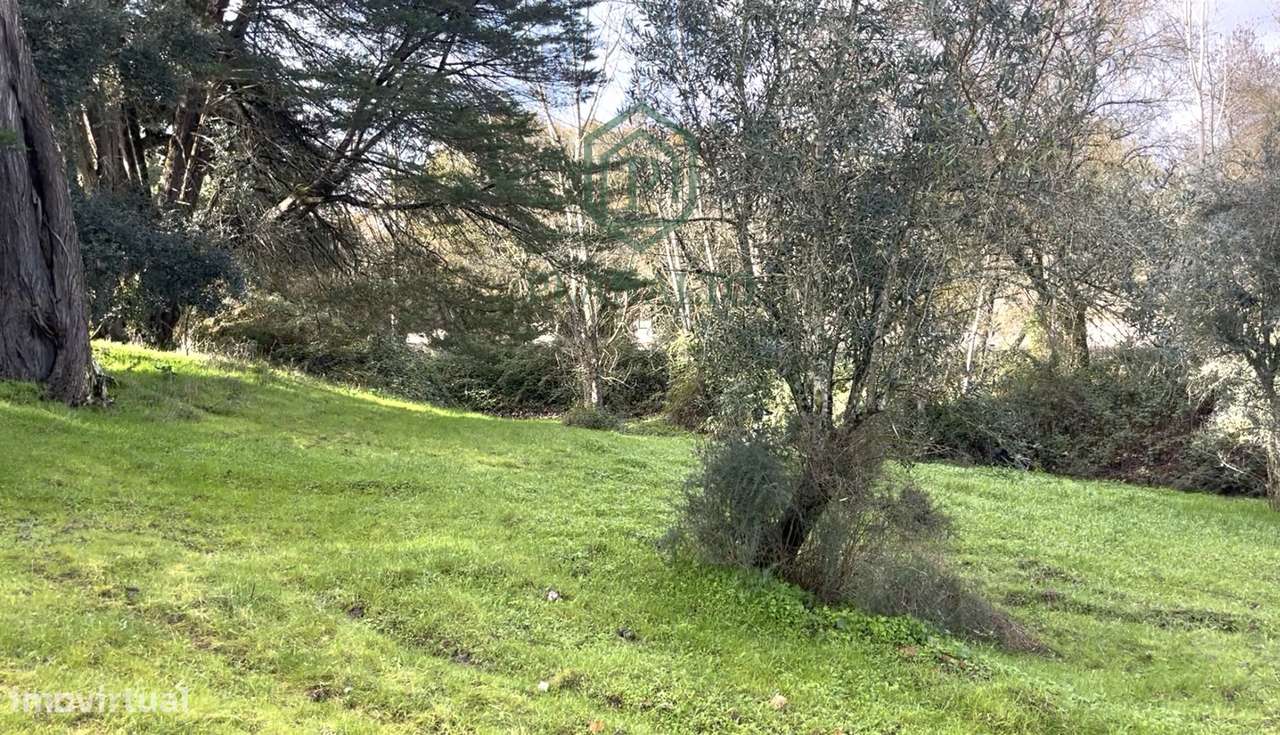 Quinta >=T10 Venda em Cortiçadas de Lavre e Lavre,Montemor-o-Novo - Grande imagem: 5/60