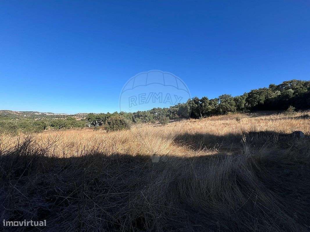 Quinta T2 para venda-10