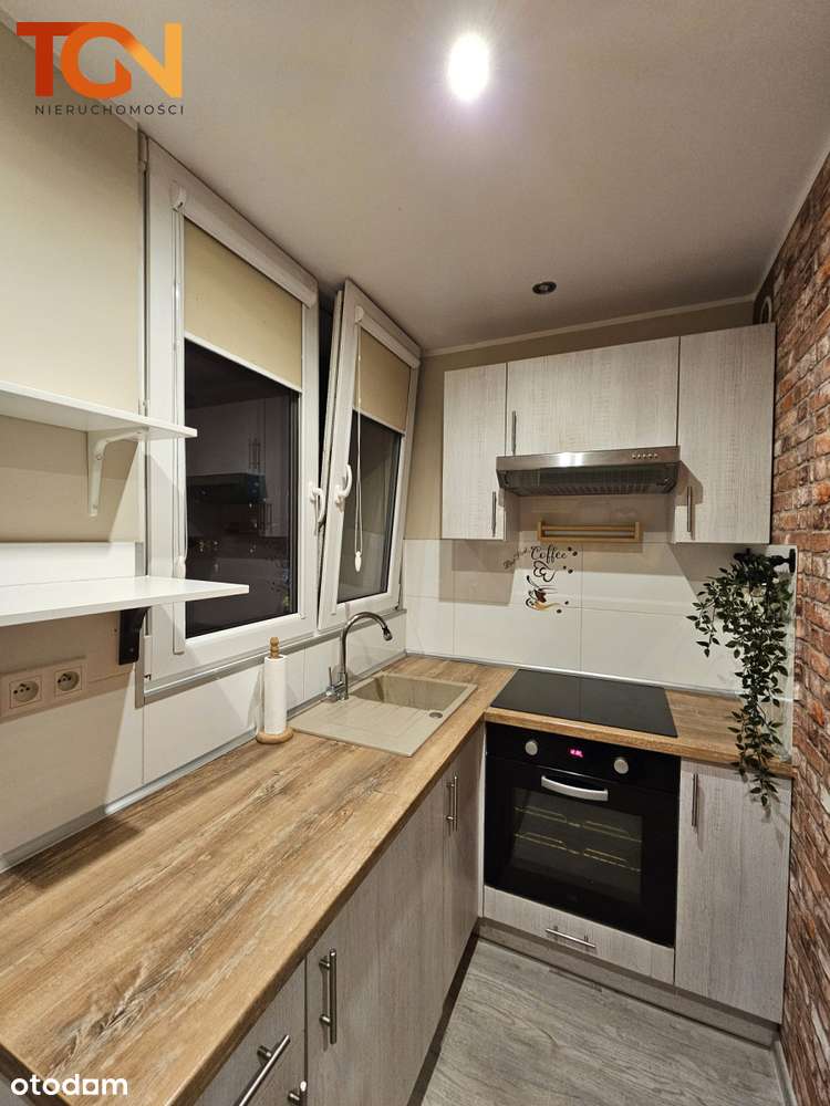 Przestronne M3 / Dąbrowa - Pełny obrazek: 5/10