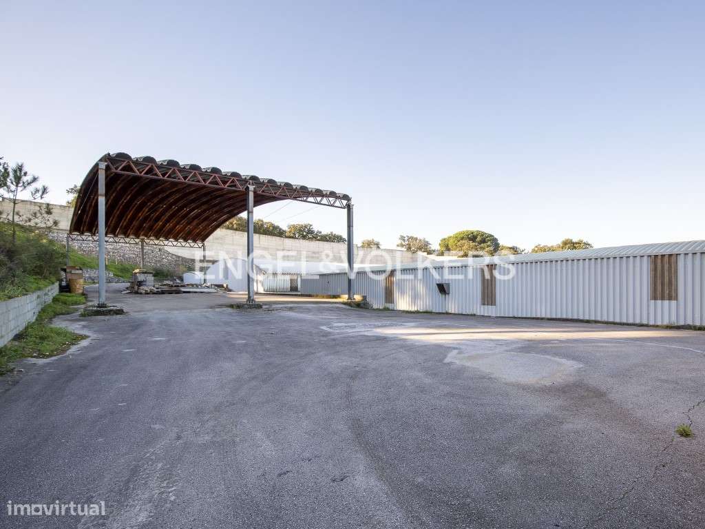 Fábrica/Armazém de Produtos Alimentares Para Venda - Grande imagem: 5/26