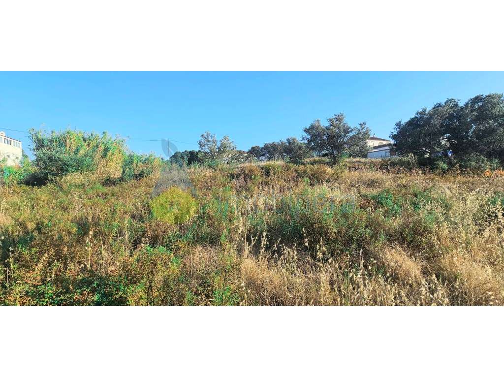 Terreno Urbano com viabilidade de construção até 3 Moradias com exc...-7