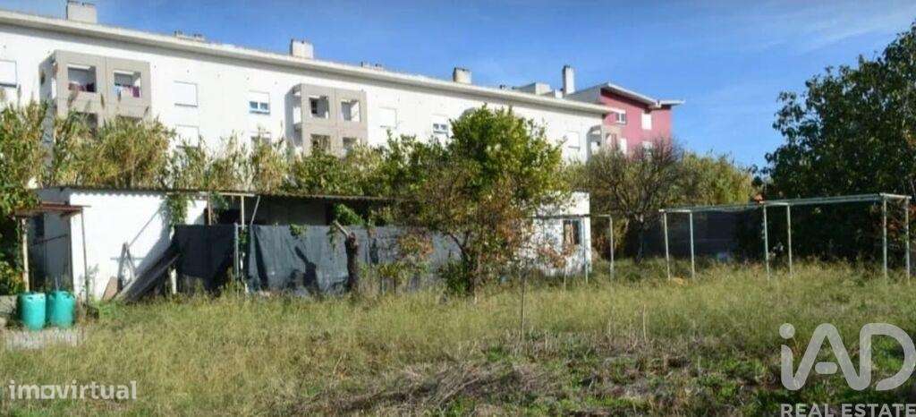 Terreno em Ajuda de 2000,00 m2 - Grande imagem: 4/11