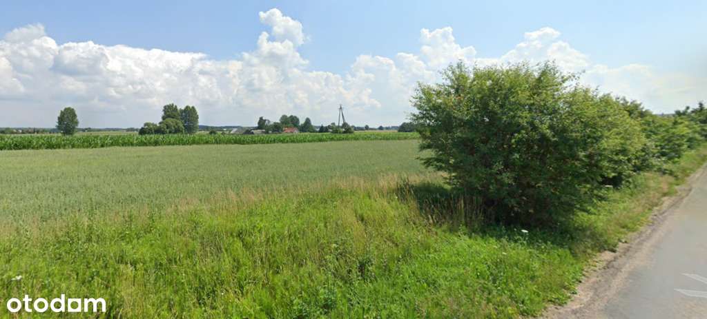 Zgrabna działka budowlana, asfalt, WZ,-10