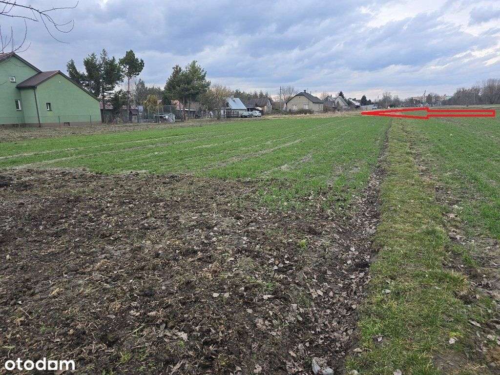 Na sprzedaż dom z dwiema działkami - Terespol-18