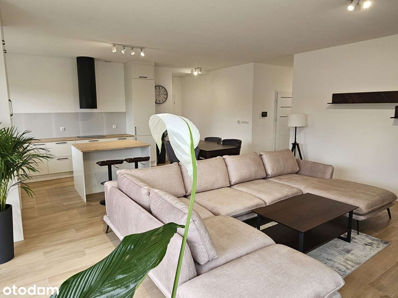 Dom parterowy wolnostojący Księginice, Domasław - Pełny obrazek: 1/13