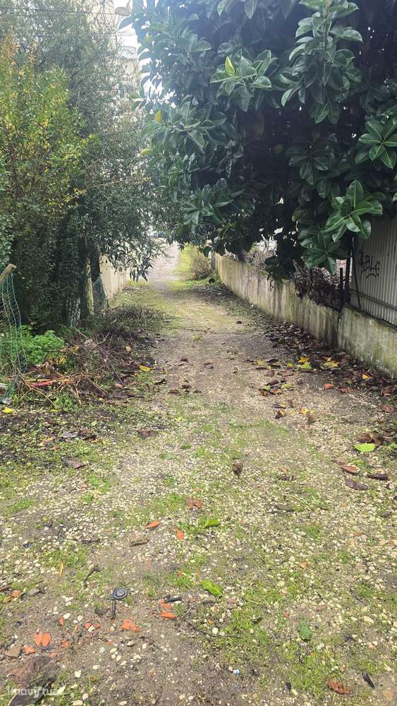 T4+1 com Garagem: Centralidade e Amplitude em Abrantes-17