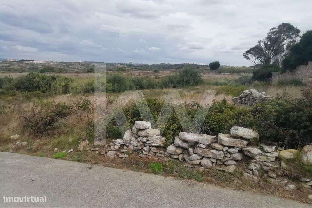 Terreno rústico com 1600m2 na Tojeira, 5 minutos praia do Magoito - Grande imagem: 2/23