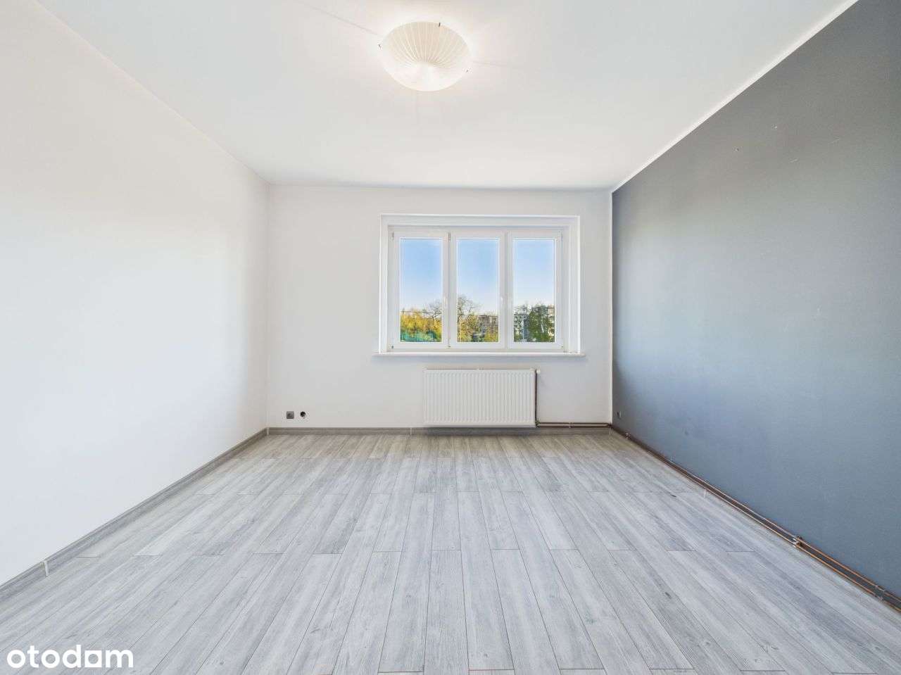 Chorzów, ul. Wolności - budynek na dużej działce-8