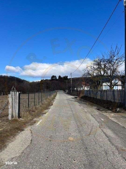 Teren Cicanesti Arges, la 10 KM de Transfagarasan - Comision 0% - Imagine principală: 4/4