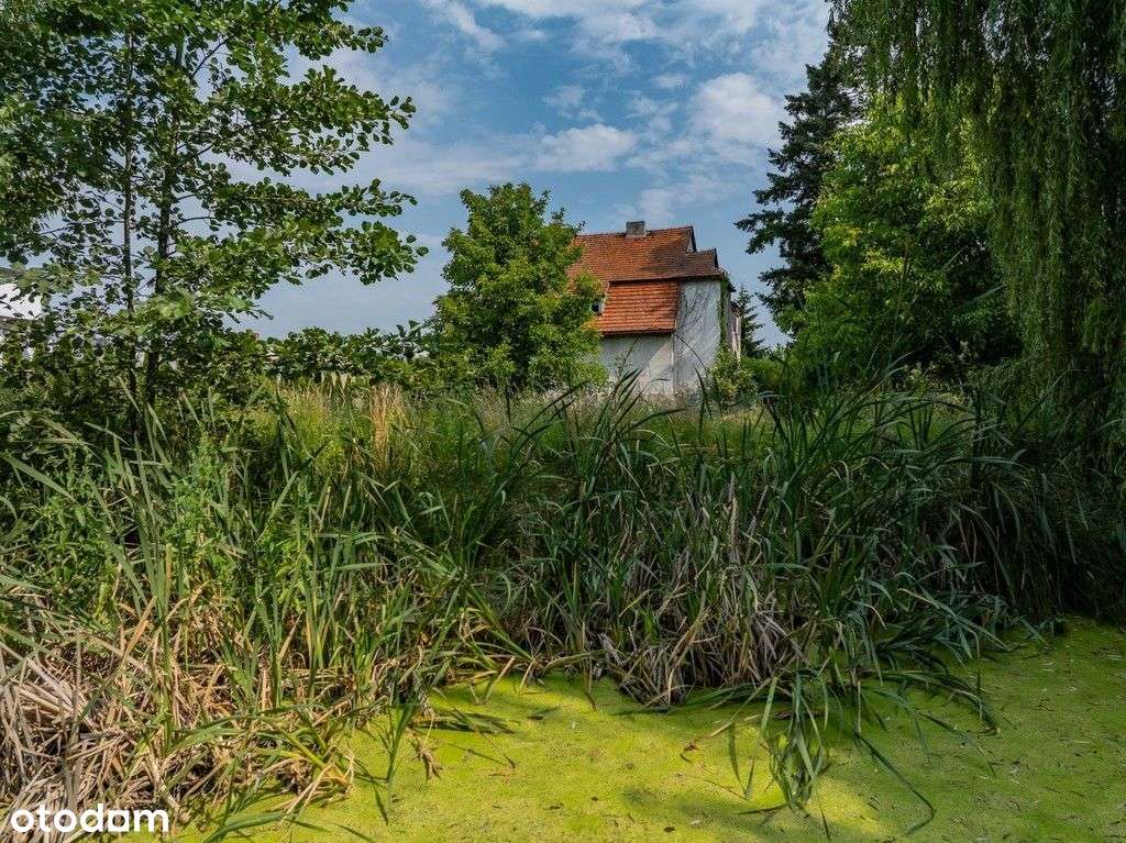 Stylowy dom / piękna działka / staw / starodrzew - Pełny obrazek: 4/12