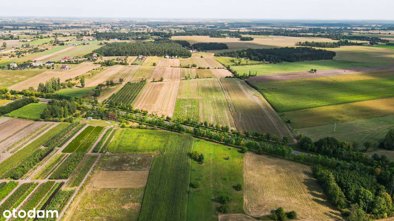Działka budowlana | Sompolno | 1000 m² | 0% prowizji!-16