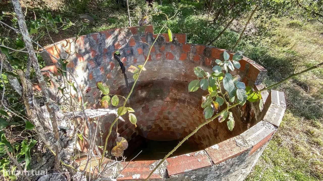 Quinta Vale Covas - Grande imagem: 4/6