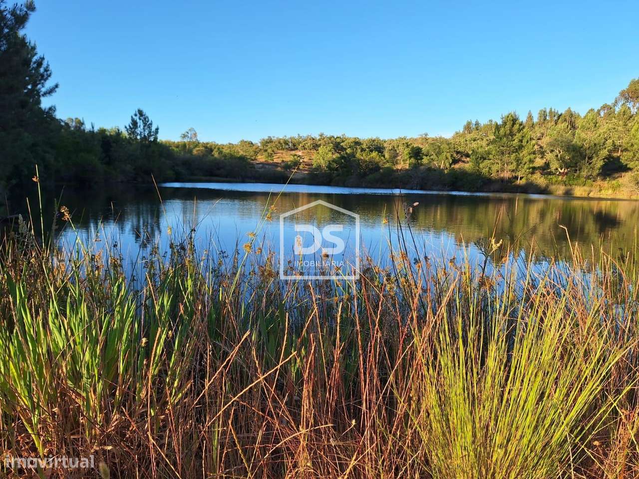 Herdade  Venda em Raposa,Almeirim - Grande imagem: 5/27