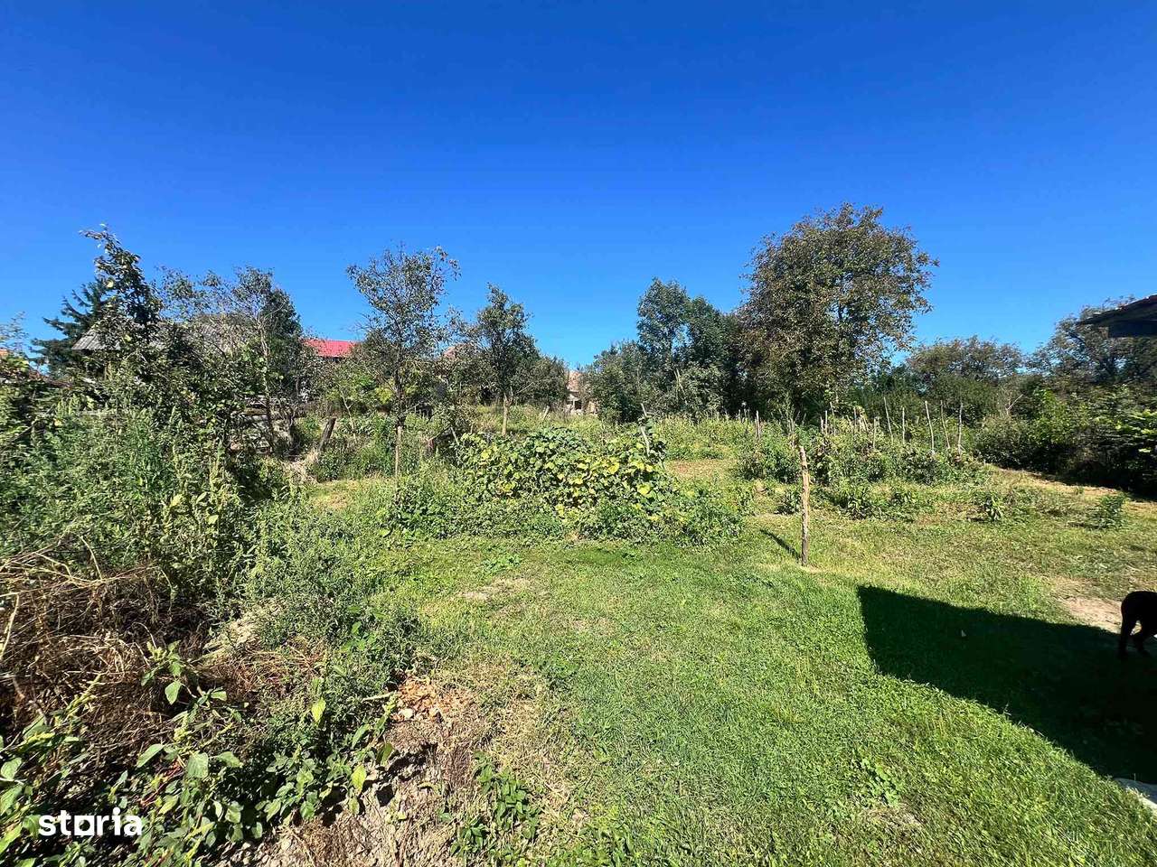 Casă în loc Gălești 18 km de Târgu Mureș-8