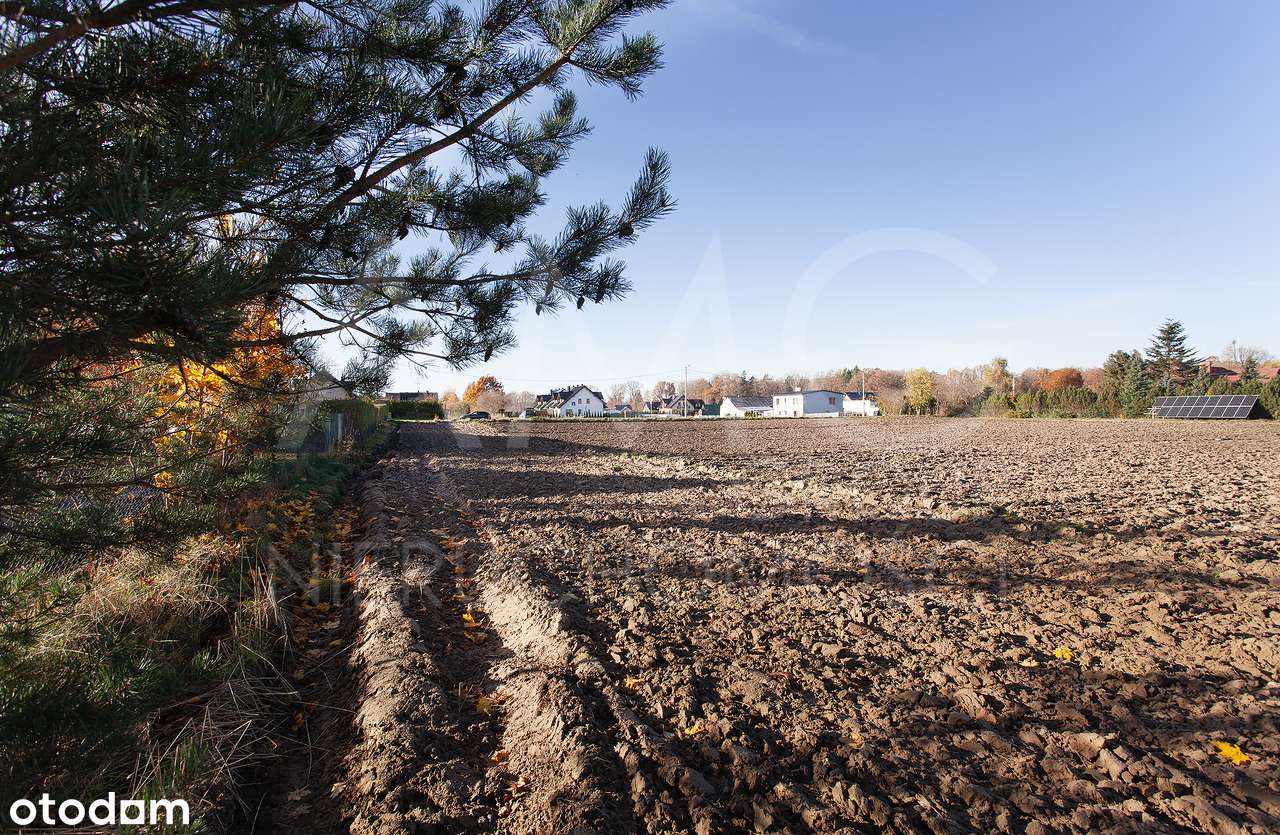 Działka 3022 m² | Leźno | Spokojna okolica - Pełny obrazek: 1/9