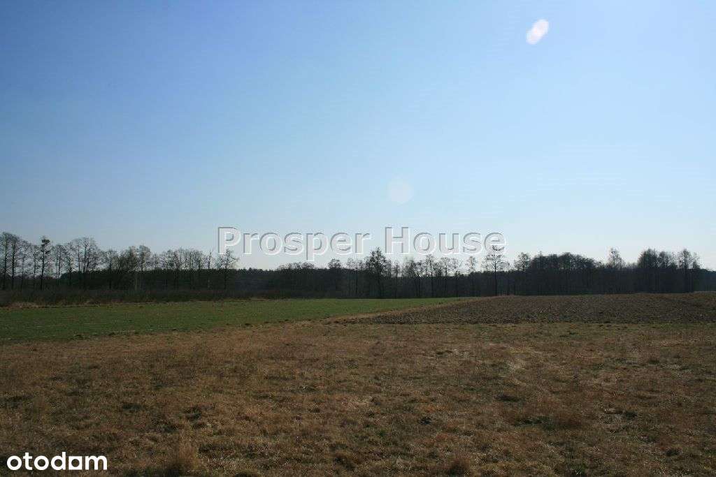 Działka, 26 100 m², Wiejca - Pełny obrazek: 4/20