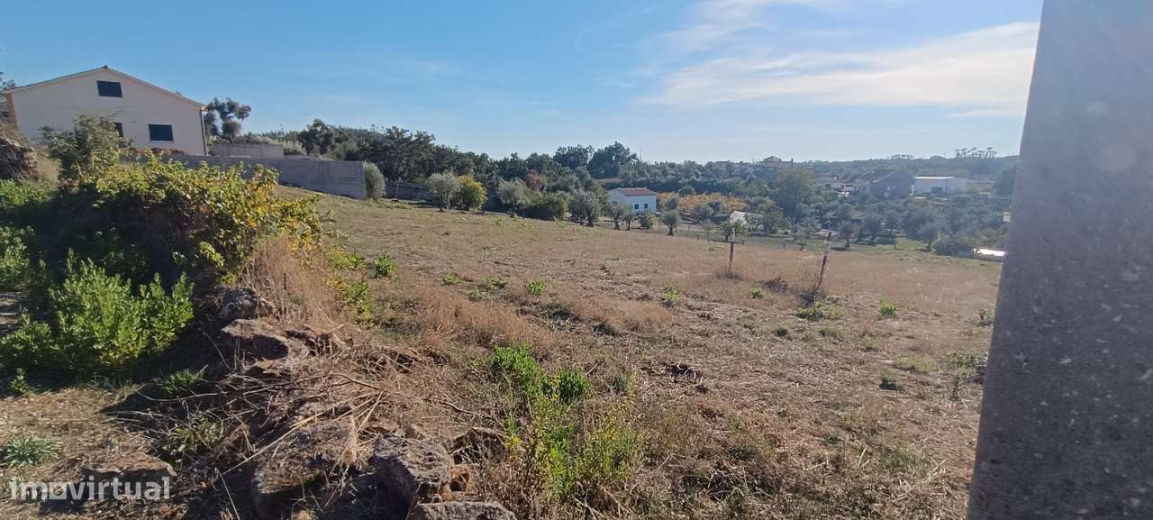 Terreno rústico com 3.700 m² – A 7 km de Tomar-10