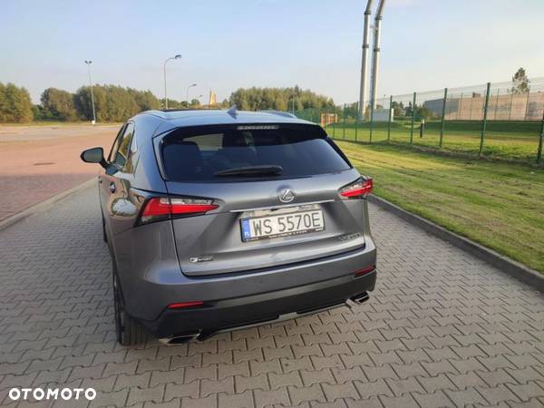 Lexus NX 200t F Sport AWD - 7