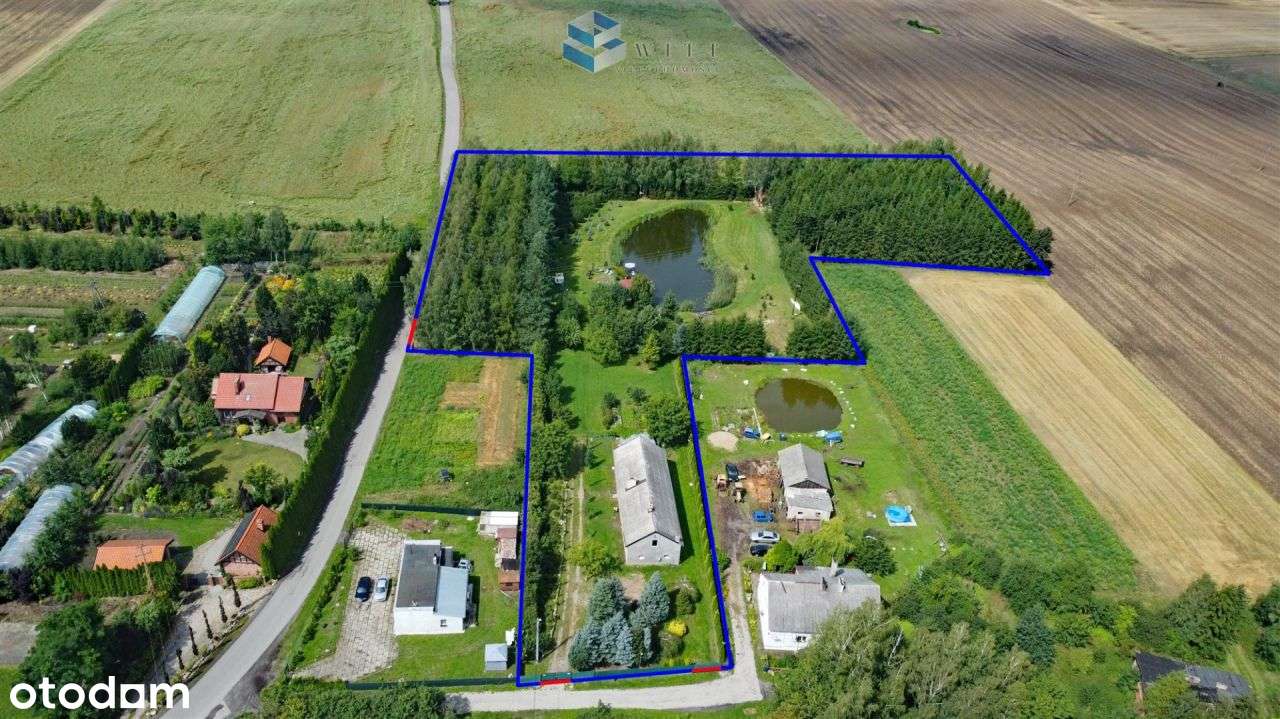 Dom z Dwoma Stawami i Urokliwym Lasem - Pełny obrazek: 4/20