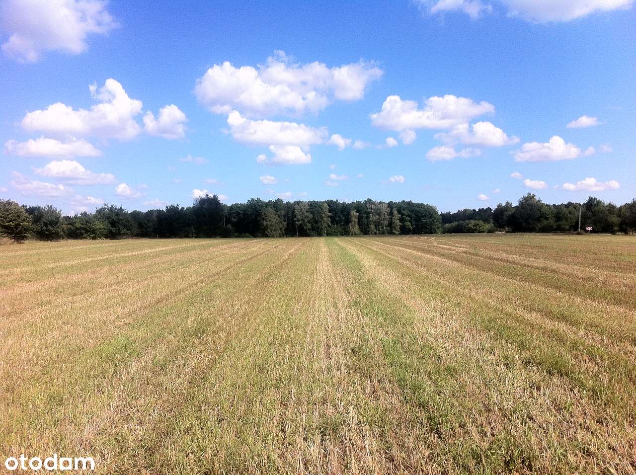 Trzcianka, gm. Wilga. Budowlane-WZ. Na nowo powstającym osiedlu. NOChK
