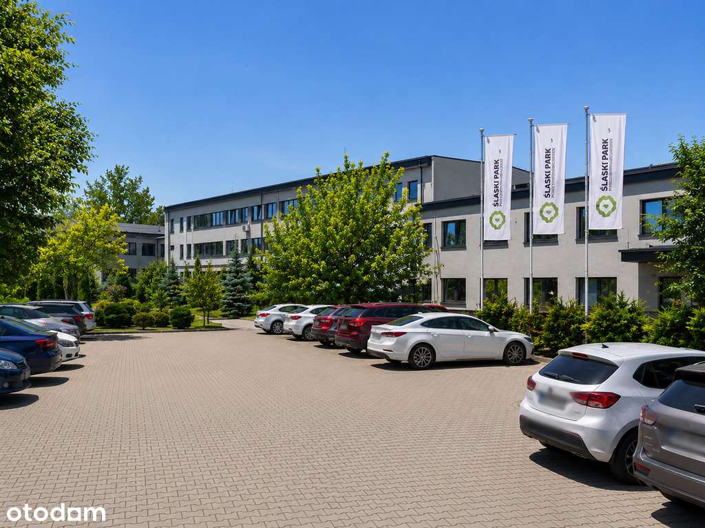 Reprezentacyjny, biznesowy, parking, siłownia, DTŚ - Widok 3