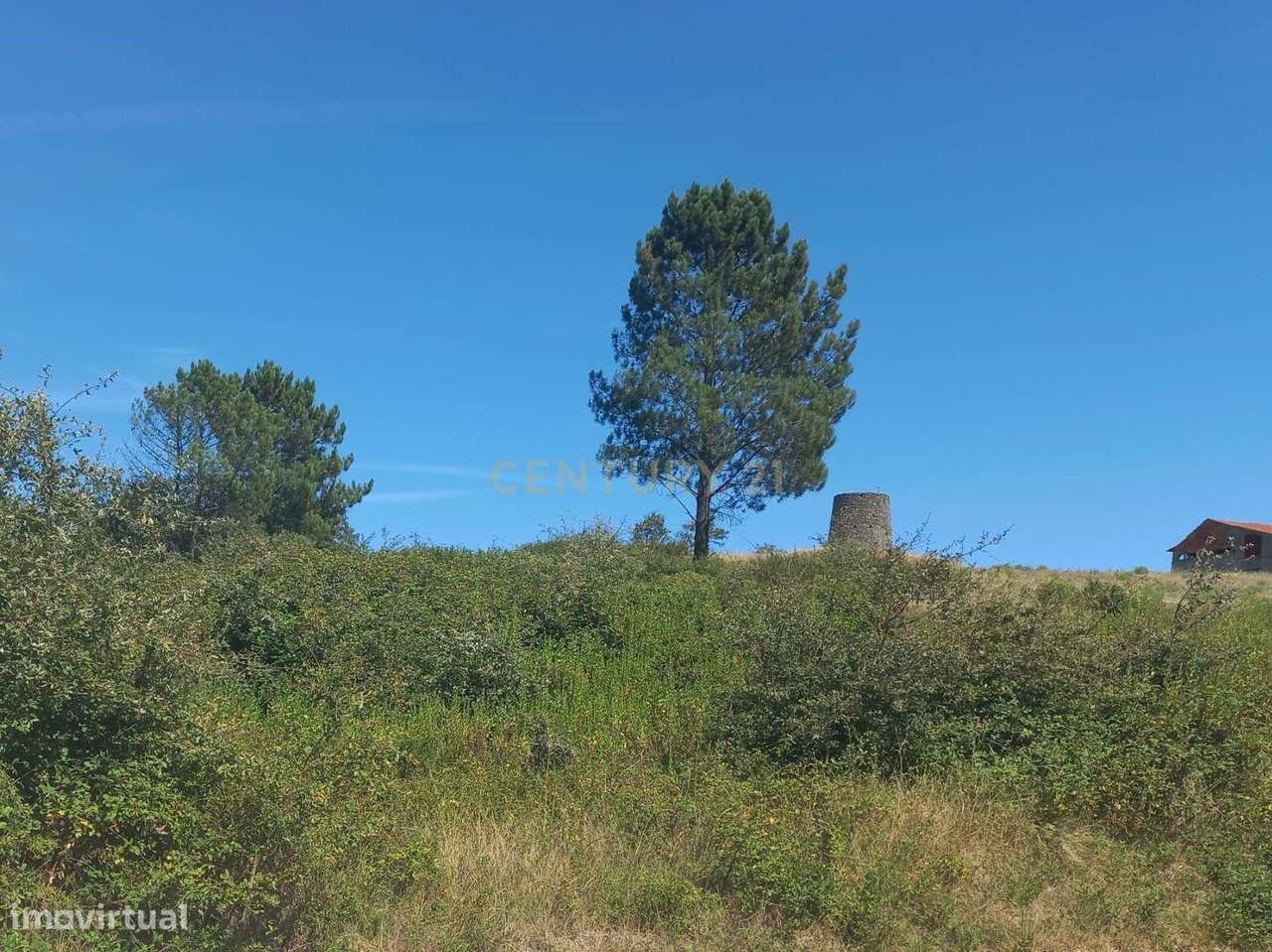 Terreno urbano para construção | 1450m2 | Vermoil, Pombal - Grande imagem: 5/13