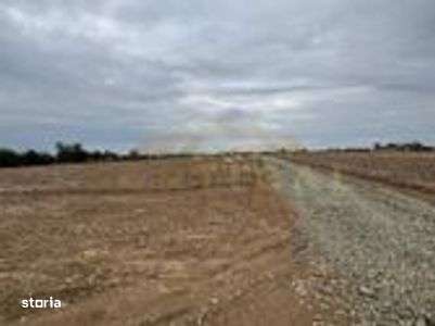 Rate 36 luni | Gaz ,Curent | com Berceni If - Imagine principală: 3/3