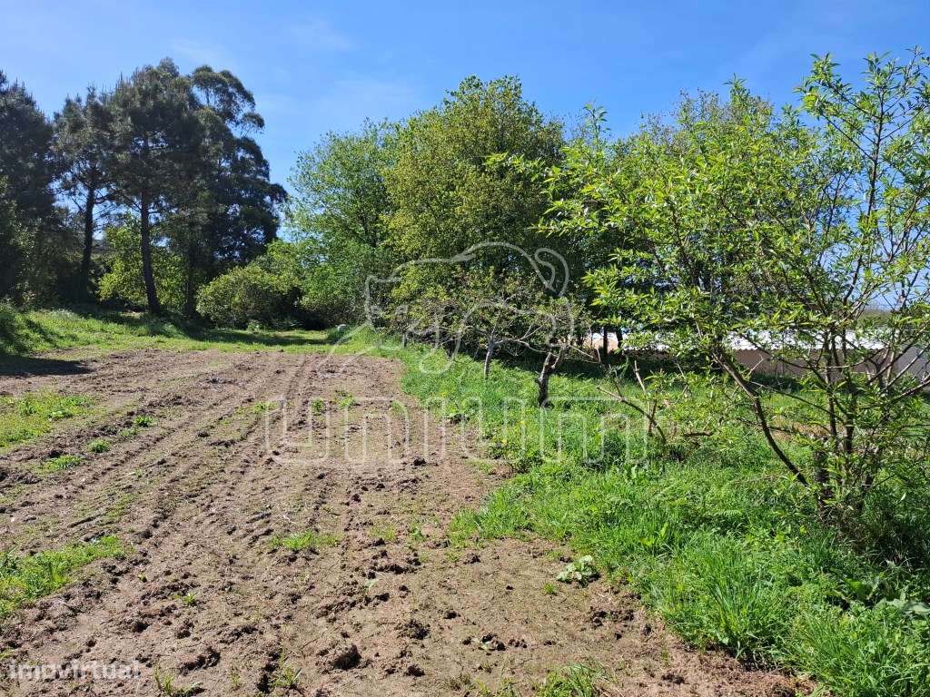 Fabuloso terreno para venda em Seixas-14