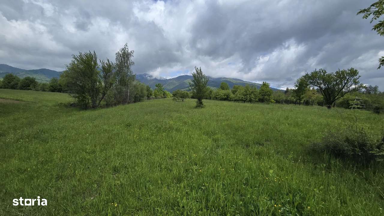 teren intravilan - 2 minute de centru Prundu Bargaului - 26 parcele-3