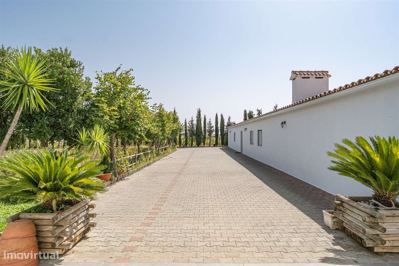 Quinta Biológica - Monte de Palma em Sao Manços com negócio.-34