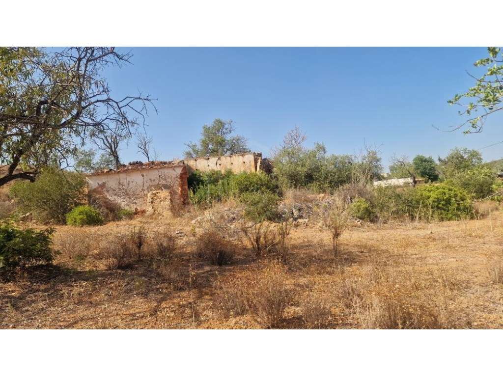 Lote de Terreno com Projeto Aprovado para Moradia V4+1, Vale Covo, ... - Grande imagem: 2/31