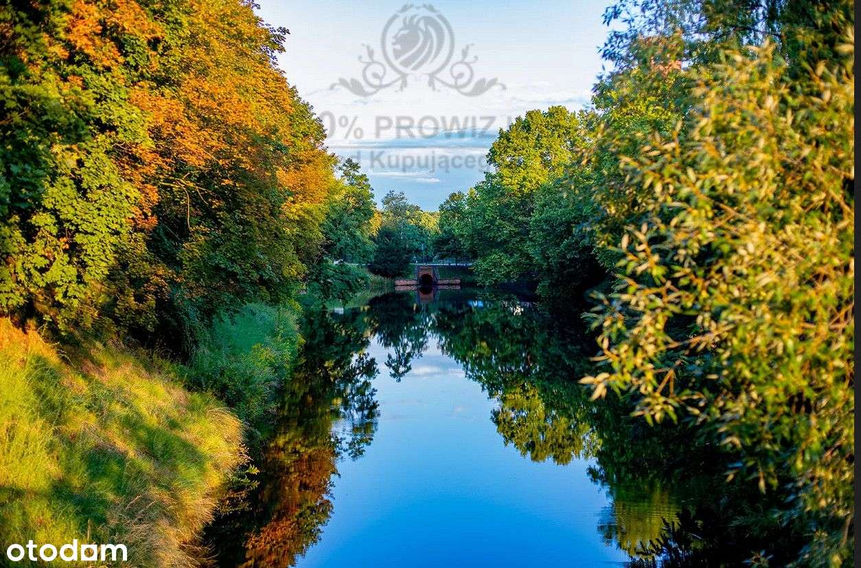 Piekne 3pok/mieszk/ogródek/w zielonej i spokojnej - Pełny obrazek: 4/17