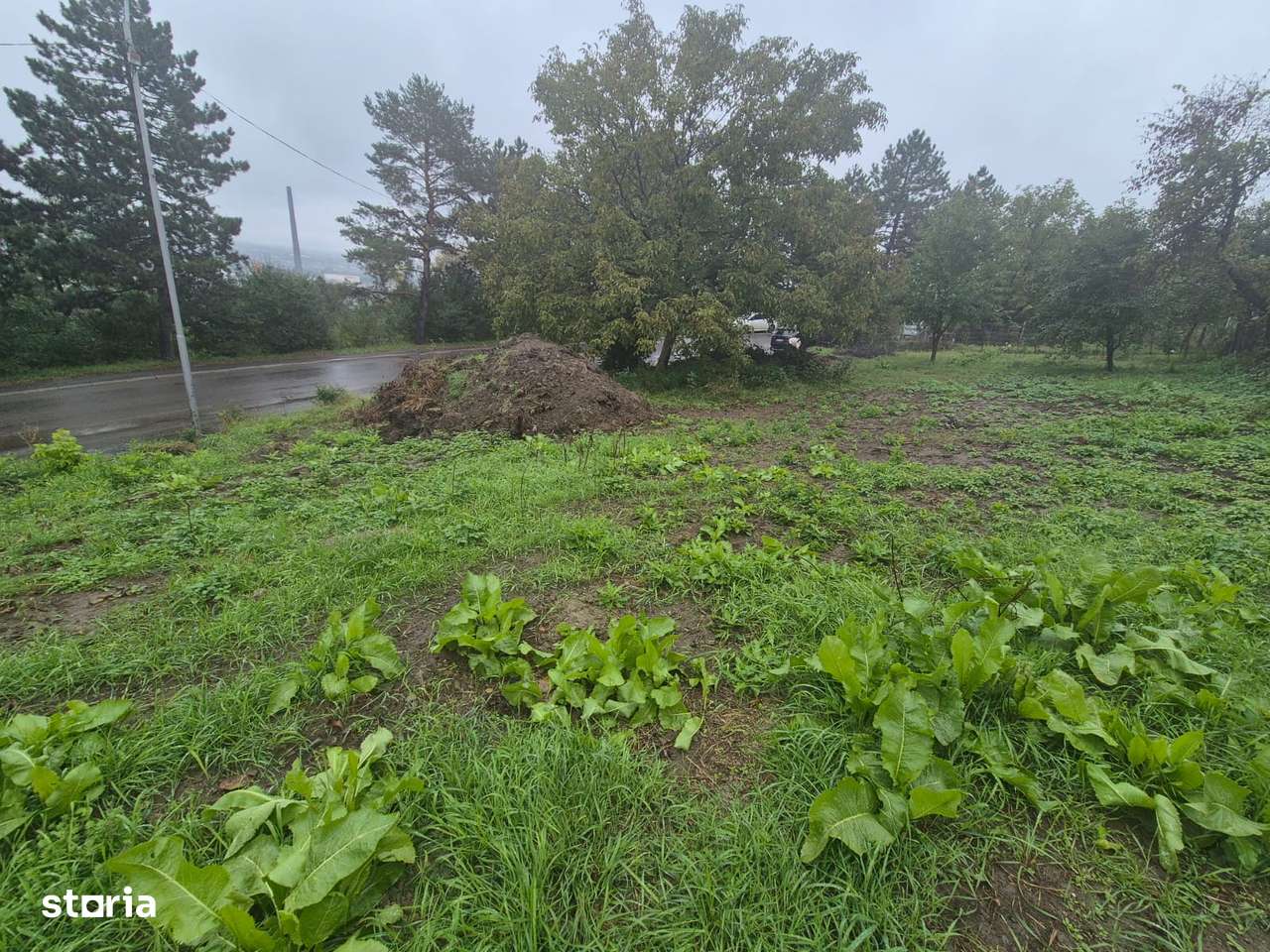 Teren de vanzare zona Serpentine - Imagine principală: 3/3