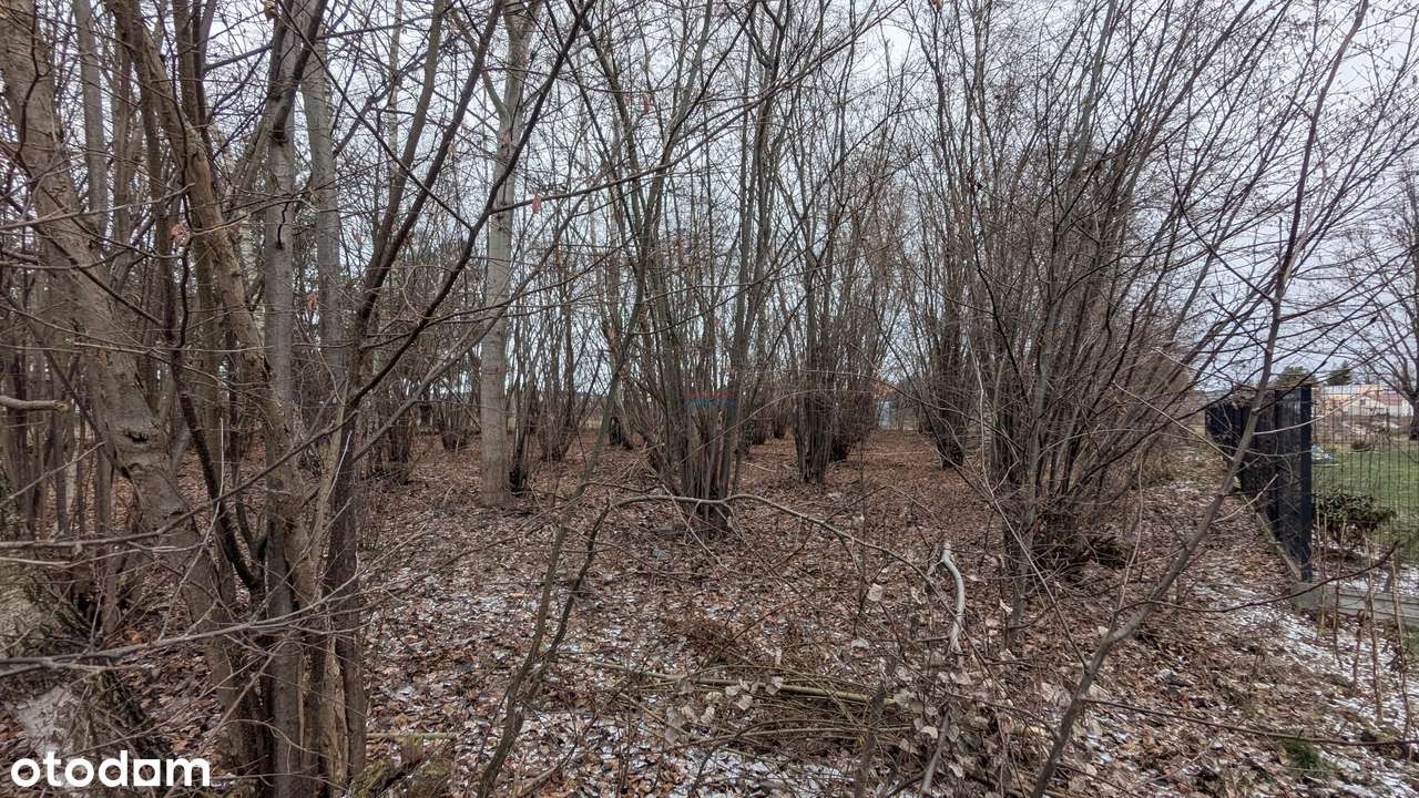 Działka budowlana 1600 m2 w zabudowie domów jednorodzinnych.-3