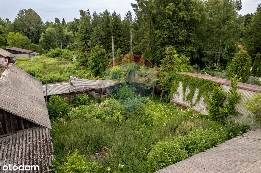Dom do remontu na 27 arowej działce - Pełny obrazek: 5/17