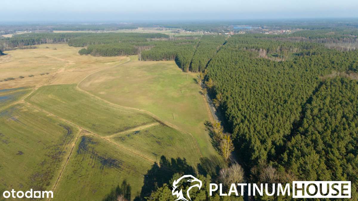 Działka rolna 4,26 ha | Lutol Mokry | Inwestycja - Pełny obrazek: 3/11