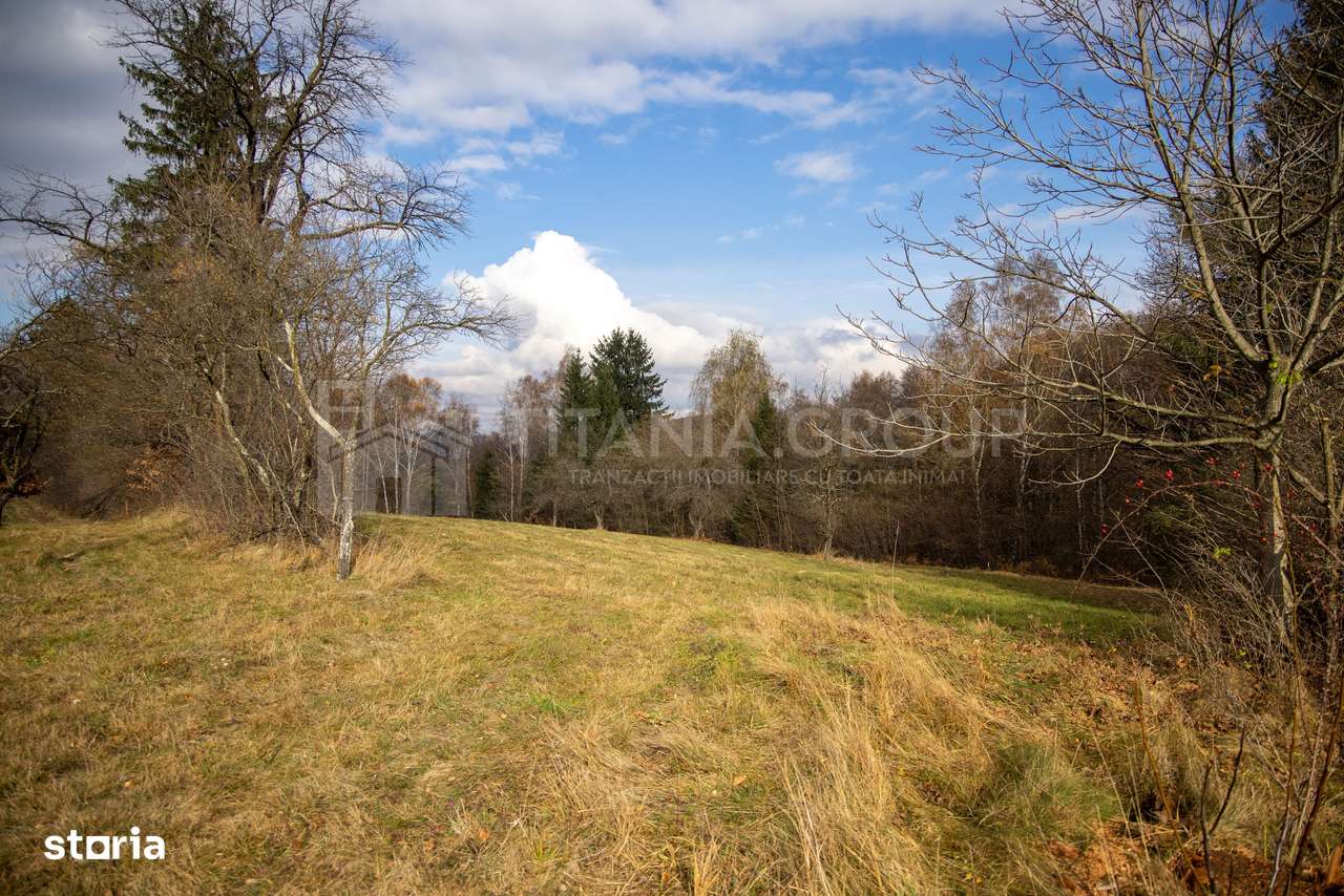 Teren intravilan, cu PUZ, Bran Tohanita,  SE ACCEPTĂ ȘI SCHIMB-16