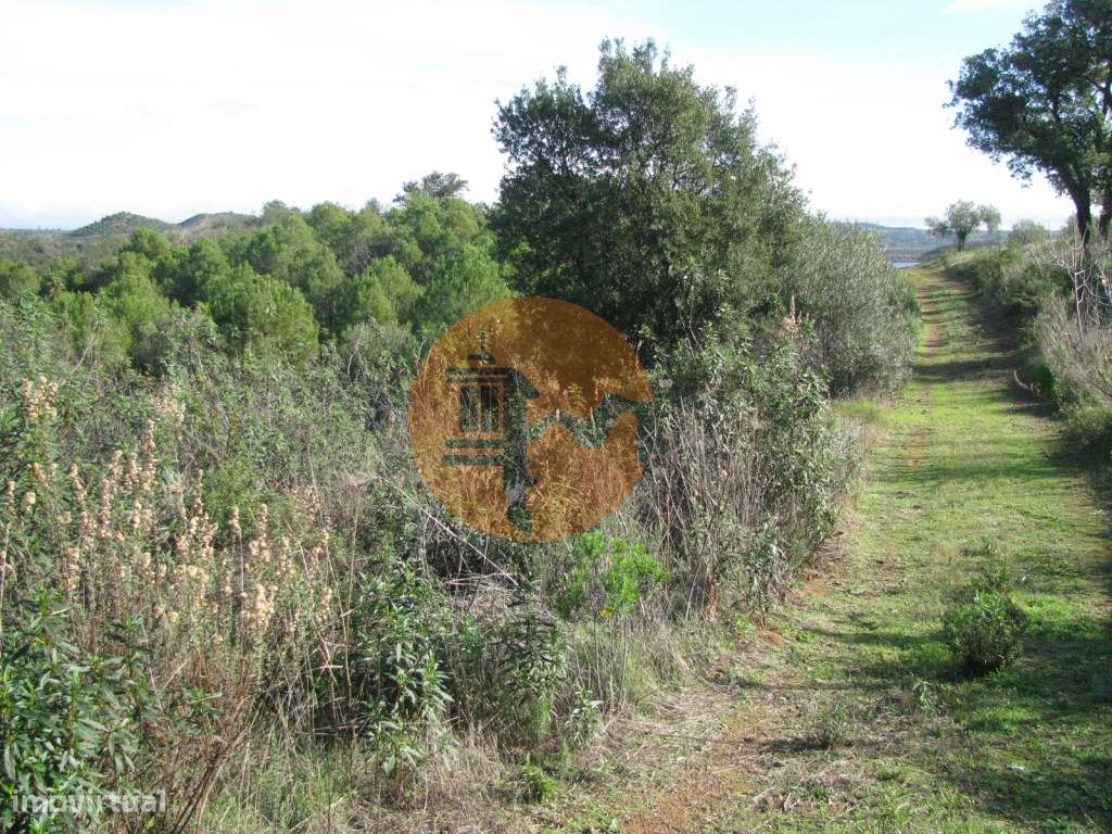 TERRENO RÚSTICO COM 10.480 M2 JUNTO A BARRAGEM DO BELICHE - ALCARIA... - Grande imagem: 5/26