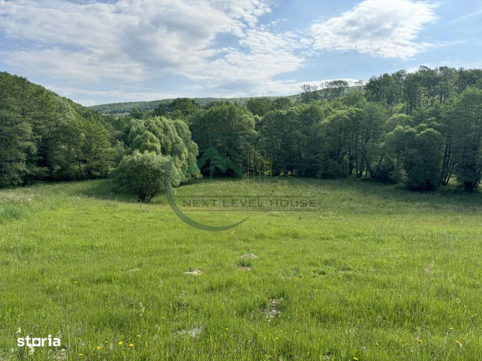 Teren extravilan - oportunitate investitie - Imagine principală: 3/7