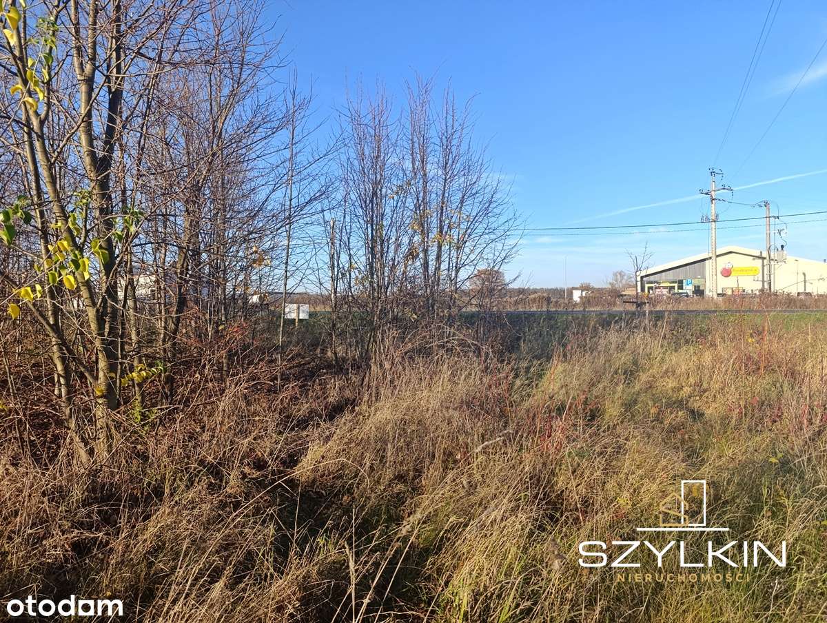 Działka budowlano - rolna w Trzebiechowie-5