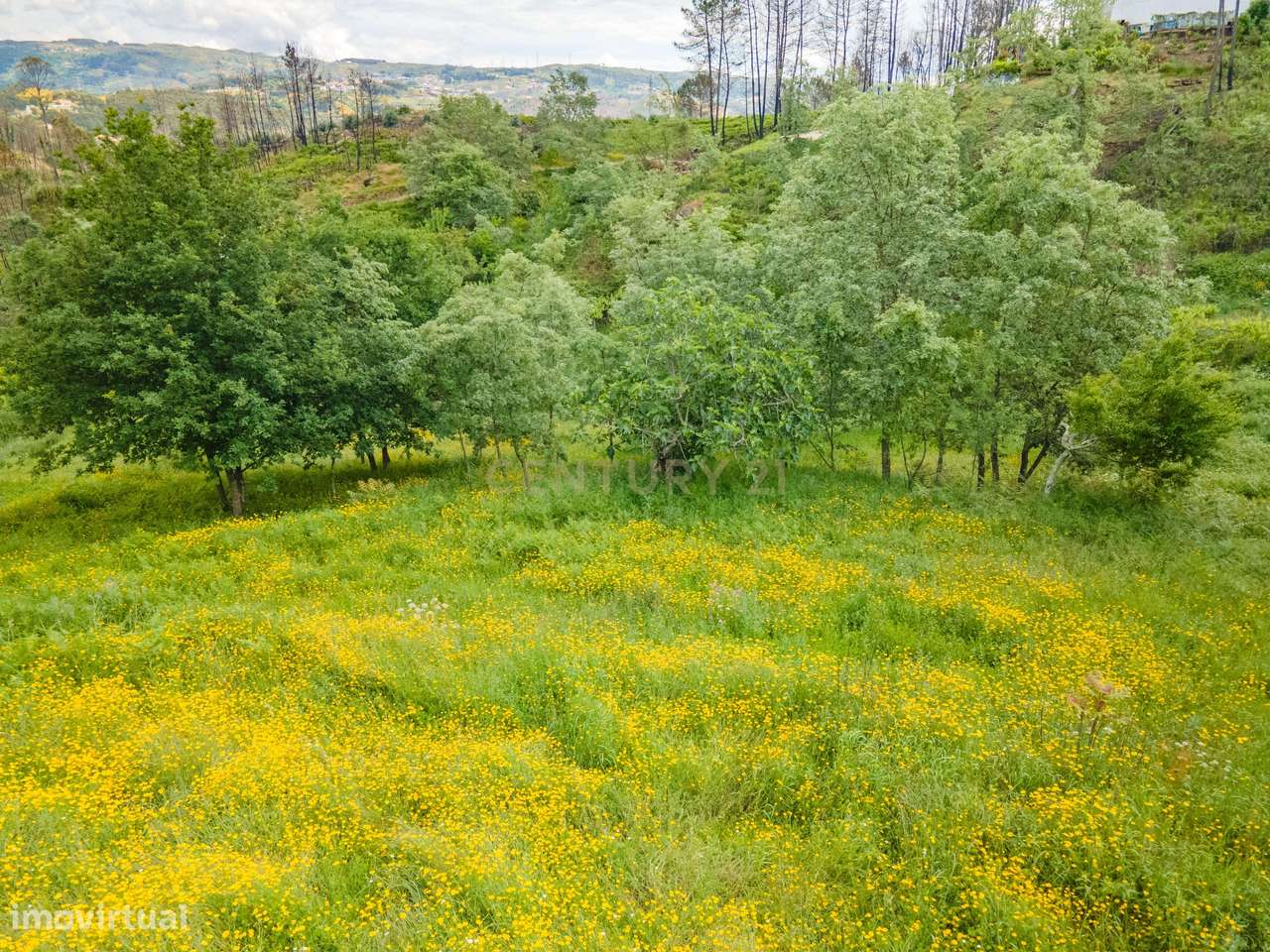 Terrenos para Construção em Marco de Canaveses - Grande imagem: 2/15