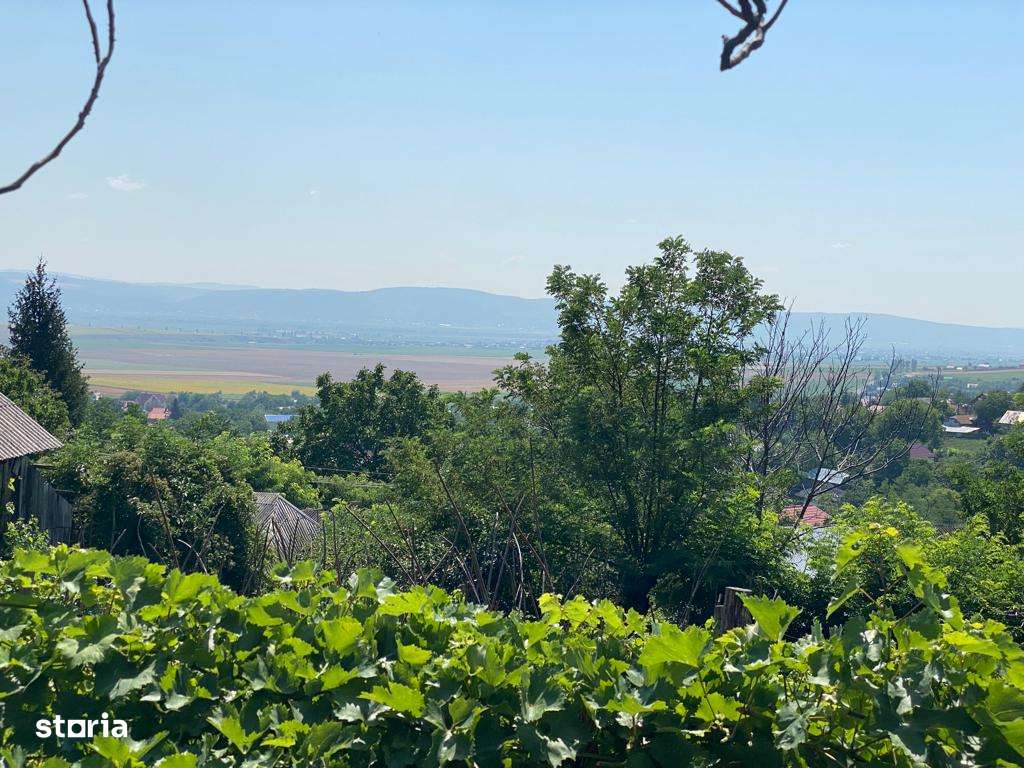 Teren 1000 mp si casa 75 mp - Imagine principală: 4/6