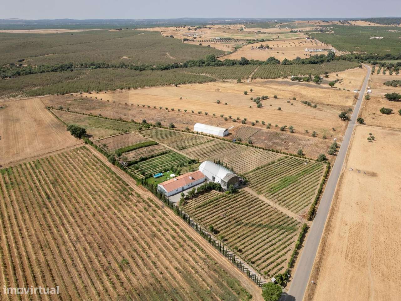 Quinta Biológica com Moradia em AL e Dois Armazéns – São Manços, Alent - Grande imagem: 3/51