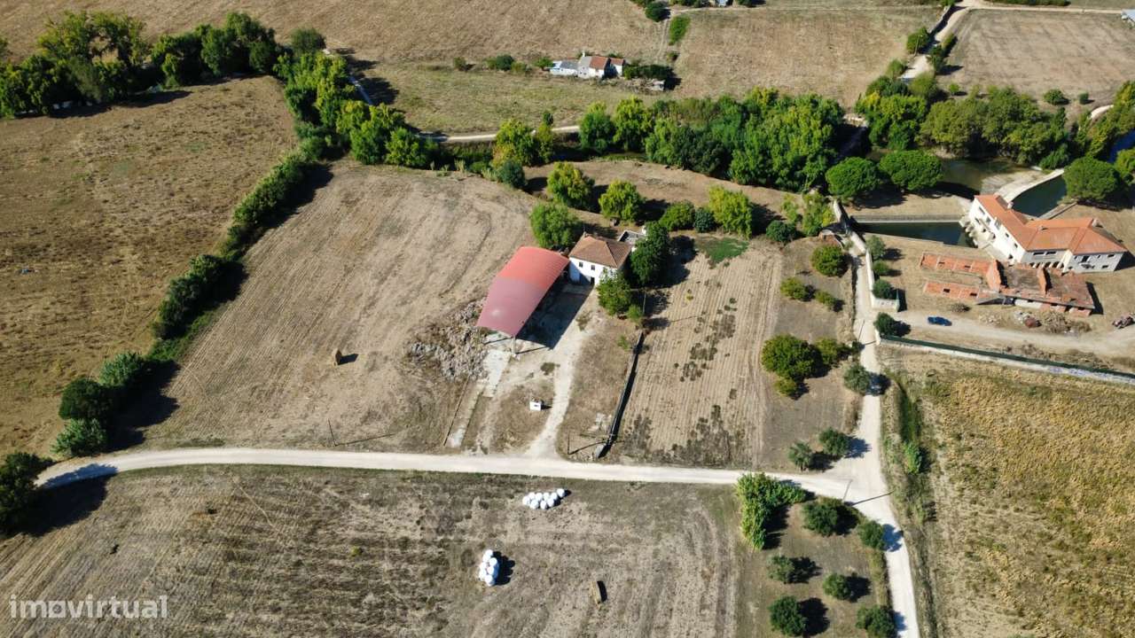 Quintinha da Ilha, Torres Novas, Junto ao Rio Almonda - Grande imagem: 5/49