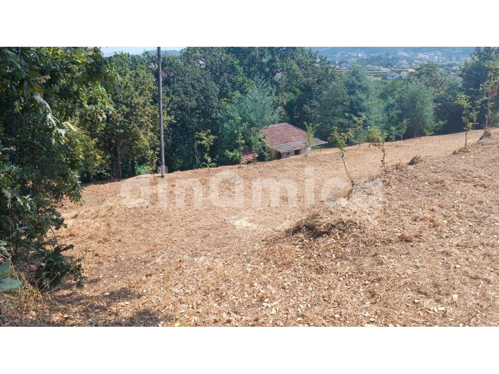 Novidade - Santo Tirso! T3 Duplex-9