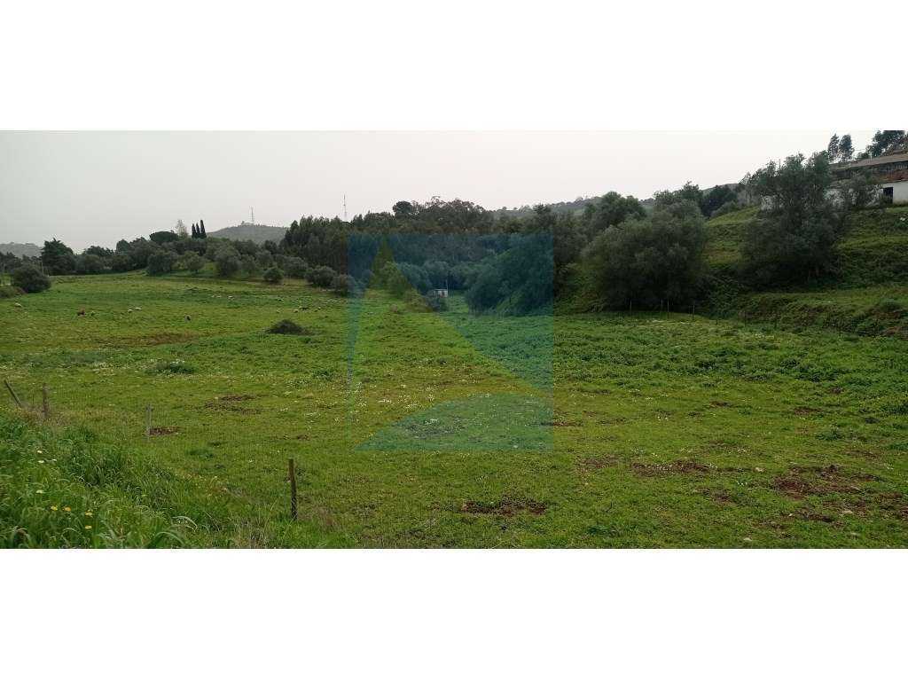 Herdade em Plena Serra da Arrábida 340.000 m2-14